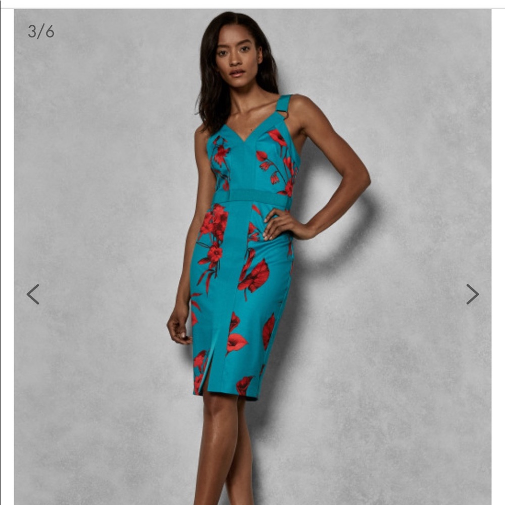 Ted Baker Jordja dress